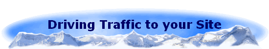 Driving Traffic to your Site